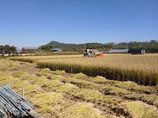 김광섭님의 자유주제 · 사진전 작성글 사진