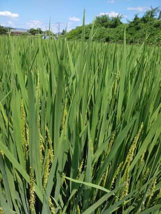 김광섭님의 자유주제 · 사진전 작성글 사진