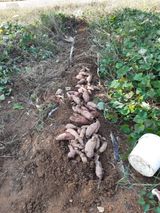 팜모닝 자유주제·자유게시판 게시글 이미지