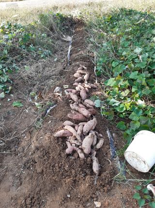 김홍규님의 자유주제 · 자유게시판 작성글 사진