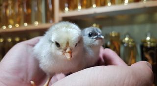 농사꾼 단비님의 자유주제 · 사진전 작성글 사진