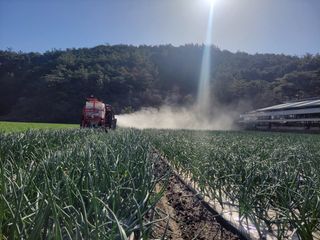 농사꾼 단비님의 자유주제 · 사진전 작성글 사진