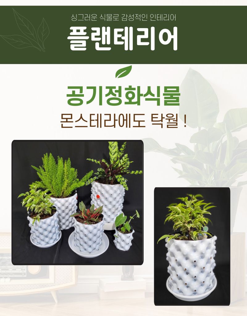 황현영님의 장터 판매 상품 [에에포토 화분 10개 1세트 ] 첨부 사진