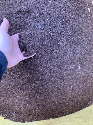 김원준님의 기타작물 · 자유게시판 작성글 사진