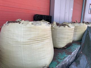 김원준님의 상추 · 자유게시판 작성글 사진