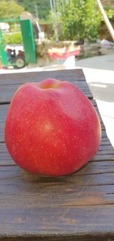 팜모닝 자유주제·사진전 게시글 이미지