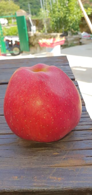 박무성님의 자유주제 · 사진전 작성글 사진