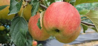 박무성님의 자유주제 · 사진전 작성글 사진