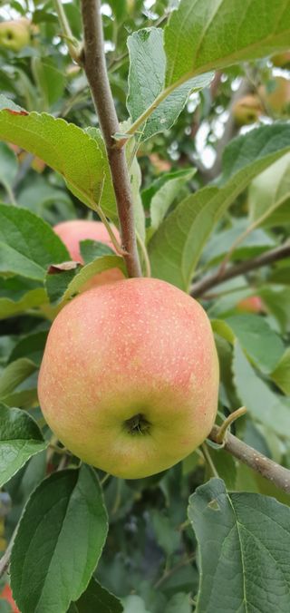 박무성님의 자유주제 · 사진전 작성글 사진