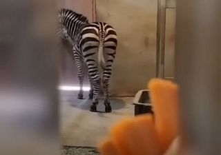 test2022101907님의 자유주제 · 자유게시판 작성글 사진