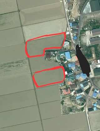 김진원님의 벼 · 병해충상담 작성글 사진