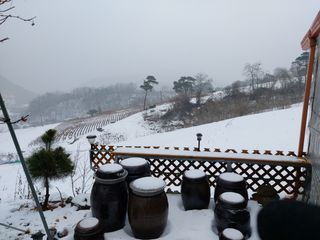 윤용탁님의 자유주제 · 사진전 작성글 사진