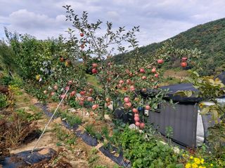 윤용탁님의 자유주제 · 사진전 작성글 사진
