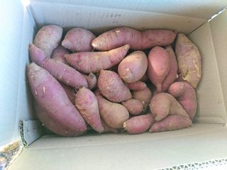 윤용탁님의 자유주제 · 사진전 작성글 사진