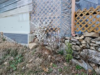 윤용탁님의 자유주제 · 사진전 작성글 사진