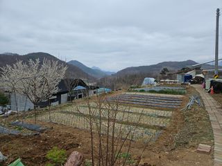 윤용탁님의 자유주제 · 사진전 작성글 사진