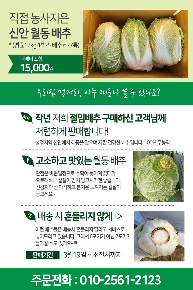 장터 상품 [배추 1박스 6~7개 ] 썸네일