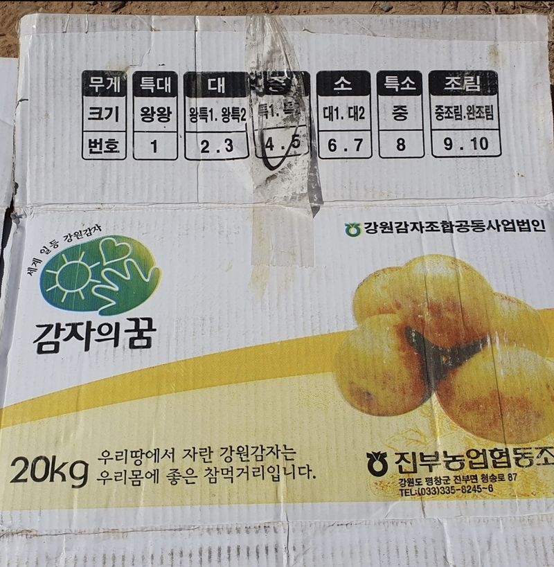 정채욱님의 장터 판매 상품 [두백 씨감자 판매합니다.] 첨부 사진