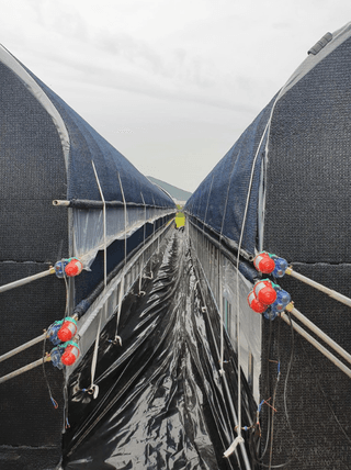 한희숙님의 하우스정보 · 시공사례•후기 작성글 사진