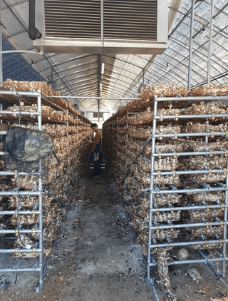 한희숙님의 하우스정보 · 시공사례•후기 작성글 사진