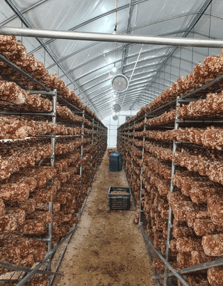 한희숙님의 하우스정보 · 시공사례•후기 작성글 사진