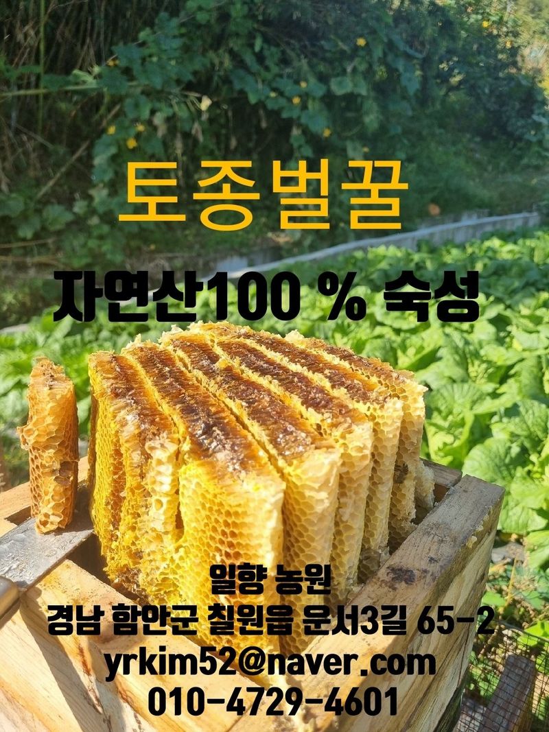 일향 님의 장터 판매 상품 [토종벌꿀 1.2kg[판매완료]] 첨부 사진
