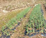 팜모닝 자유주제·사진전 게시글 이미지