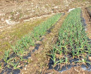 노루목 농장님의 자유주제 · 사진전 작성글 사진