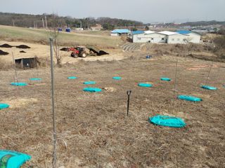 변기환님의 자유주제 · 사진전 작성글 사진