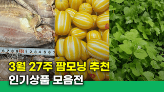 팜모닝님의 장터이야기·공지 작성글 사진
