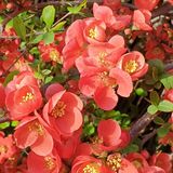 팜모닝 자유주제·자유게시판 게시글 이미지