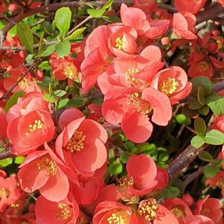 정명환님의 자유주제 · 자유게시판 작성글 사진