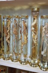 팜모닝 자유주제·자유게시판 게시글 이미지