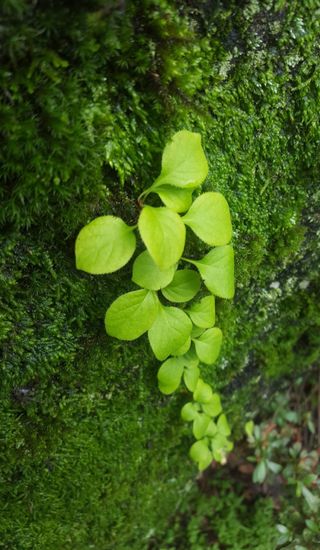 농사꾼 단비님의 자유주제 · 자유게시판 작성글 사진
