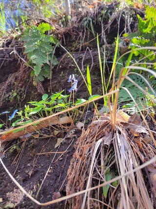 농사꾼 단비님의 자유주제 · 자유게시판 작성글 사진
