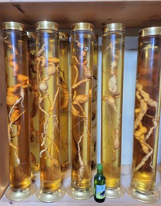 농사꾼 단비님의 자유주제 · 자유게시판 작성글 사진