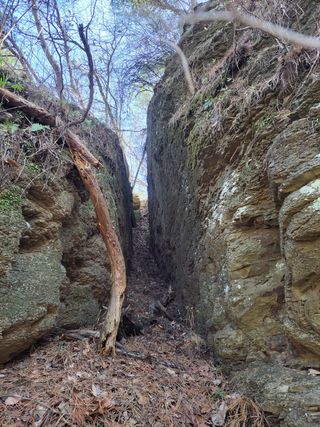 농사꾼 단비님의 자유주제 · 자유게시판 작성글 사진