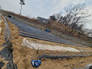 김성자님의 감자 · 자유게시판 작성글 사진