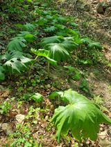 팜모닝 자유주제·사진전 게시글 이미지