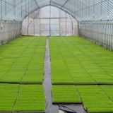 팜모닝 자유주제·사진전 게시글 이미지