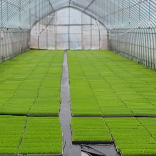 변은심님의 자유주제 · 사진전 작성글 사진