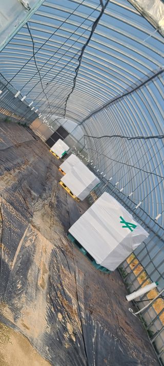 변은심님의 자유주제 · 사진전 작성글 사진