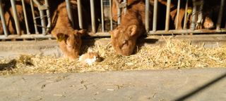 변은심님의 자유주제 · 사진전 작성글 사진