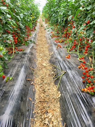 권미화님의 자유주제 · 사진전 작성글 사진