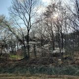 팜모닝 기타작물·자유게시판 게시글 이미지