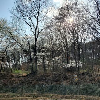 봉덕팜님의 기타작물 · 자유게시판 작성글 사진