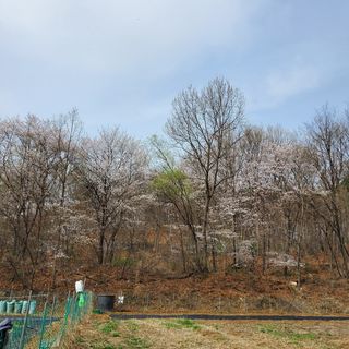 봉덕팜님의 기타작물 · 자유게시판 작성글 사진