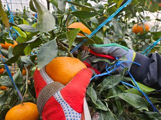 프룻하늬님의 작성글 사진