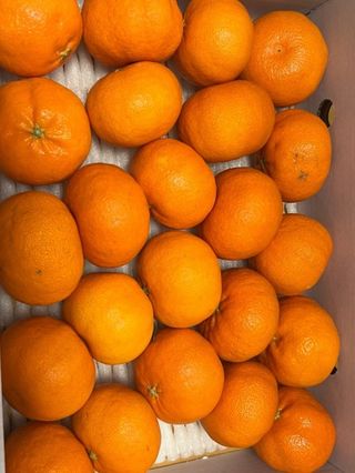 프룻하늬님의 작성글 사진