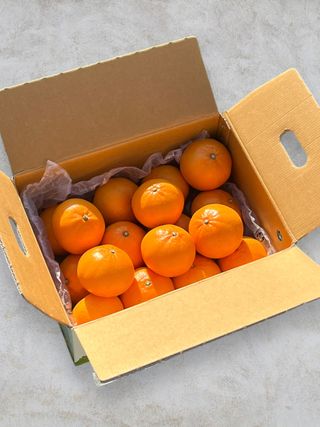 프룻하늬님의 작성글 사진